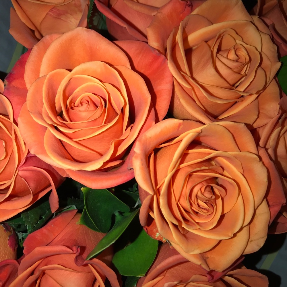 Meet your Posher, Carmen